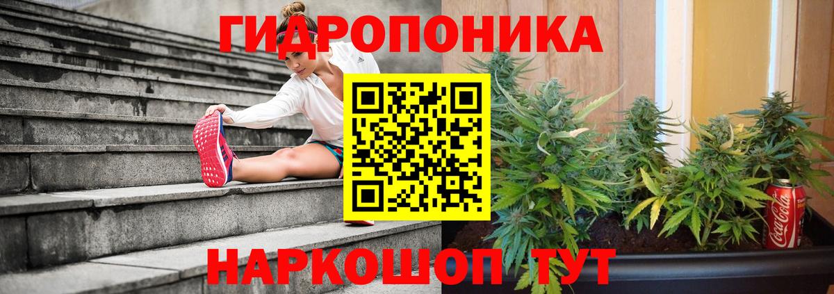 Бошки Шишки планчик  Вход с VPN  Каннабис LSD WEED  Бошки марихуана Ganja  Нягань 